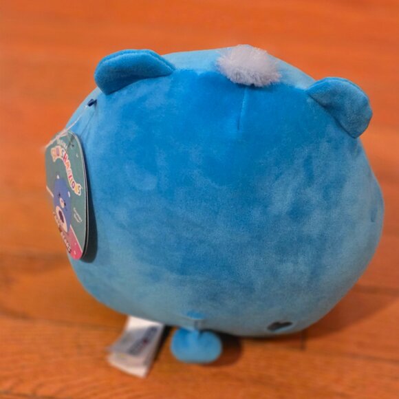 Care Bears Squishmallow - Share Bear, Cheer Bear, Grumpy Bear, and Funshine Bear - Picture 6 of 16